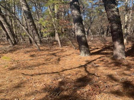  1st, Mays Landing, NJ, 08330 Aditional Picture