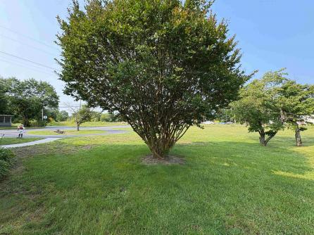 301 Broad, Milmay, NJ, 08340 Aditional Picture