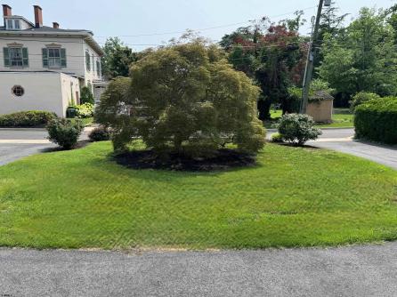 43 Franklin, Bridgeton, NJ, 08302 Aditional Picture