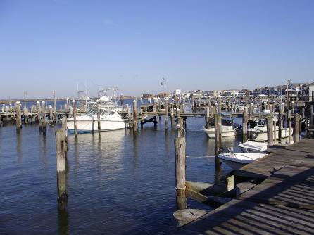 127 monroe, 5, Margate, NJ, 08402 Aditional Picture