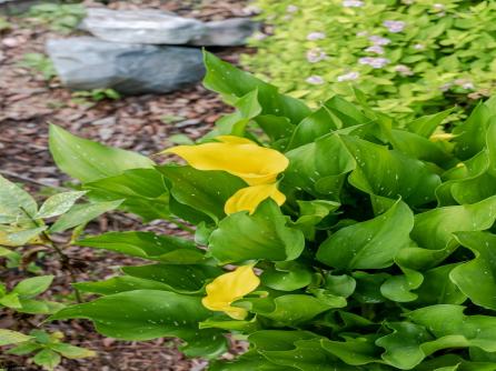 5323 Carolina, Mullica Township, NJ, 08215 Aditional Picture