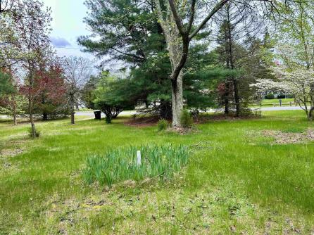 733 Duerer, Galloway Township, NJ, 08215 Aditional Picture