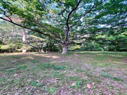 1021 Darmstadt, Mullica Township, NJ, 08215 Aditional Picture