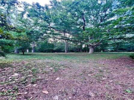 1021 Darmstadt, Mullica Township, NJ, 08215 Aditional Picture