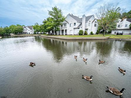 336 Heather Croft, 336, Egg Harbor Township, NJ, 08234 Aditional Picture