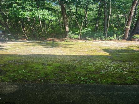 254 Mattix Run, 254, Galloway Township, NJ, 08205 Aditional Picture