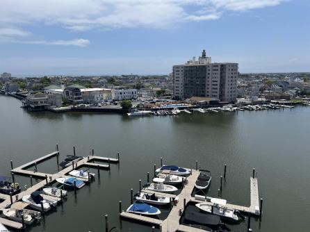 236 Derby, 805, Ventnor Heights, NJ, 08406 Aditional Picture