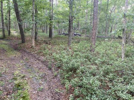 6149 Mill, Egg Harbor Township, NJ, 08234 Aditional Picture