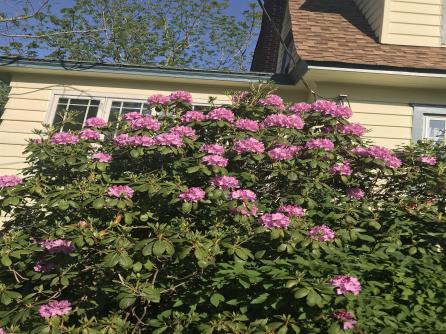 200 Showellton, Absecon, NJ, 08201 Aditional Picture
