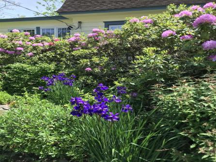 200 Showellton, Absecon, NJ, 08201 Aditional Picture