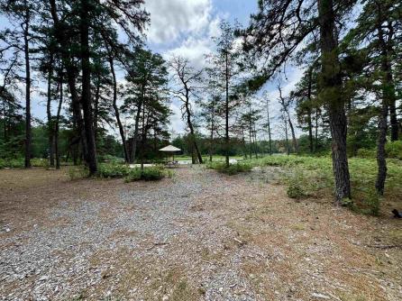 4320 Lake Nescochague, Hammonton, NJ, 08037 Aditional Picture