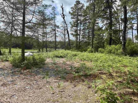 4320 Lake Nescochague, Hammonton, NJ, 08037 Aditional Picture