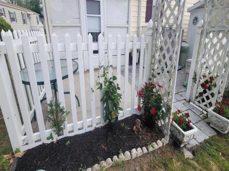 484 Pilgrim Way, Buena Vista Township, NJ, 08310 Aditional Picture