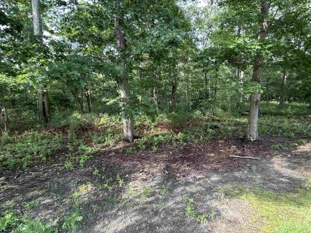 4 Scarlett Oak, Egg Harbor Township, NJ, 08234 Aditional Picture