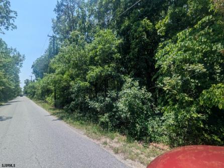 B:851/L:7 Ash, Galloway Township, NJ, 08205 Aditional Picture