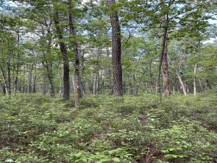  Hunter + Baker, Mays Landing, NJ, 08330 Aditional Picture