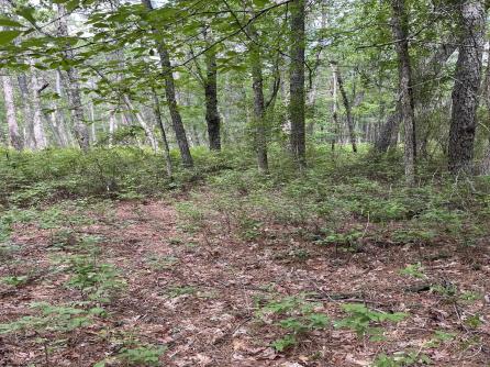  Hunter + Baker, Mays Landing, NJ, 08330 Aditional Picture
