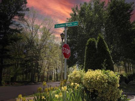 16 Country Birch Ln, Egg Harbor Township, NJ, 08234 Aditional Picture