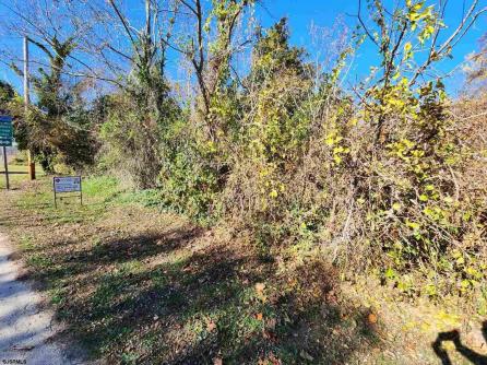 1029 Dragston, Port Norris, NJ, 08349 Aditional Picture