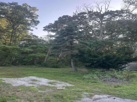 86 Route 50, Upper Township, NJ, 08230 Aditional Picture