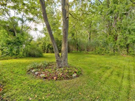 536 Ocean Heights, Linwood, NJ, 08221 Aditional Picture