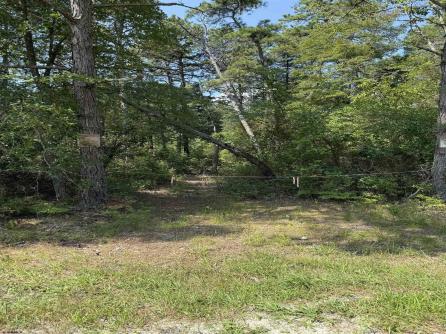2600 Elwood, Mullica Township, NJ, 08037 Aditional Picture