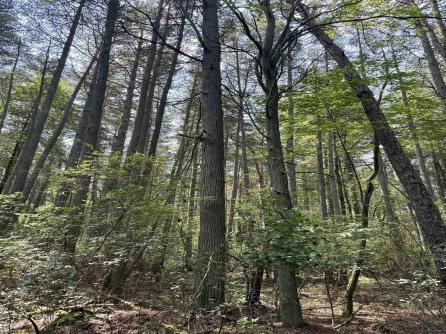 2600 Elwood, Mullica Township, NJ, 08037 Aditional Picture