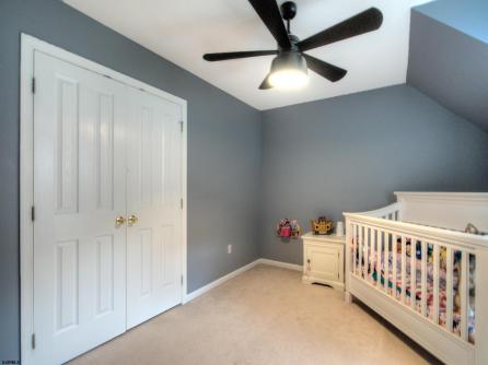 17 Deerfield Trl, Woodbine Borough, NJ, 08270 Aditional Picture