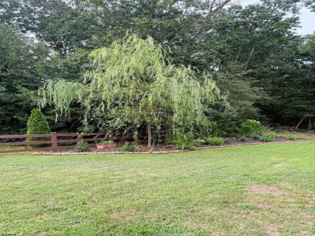 11 Johns, Upper Deerfield Township, NJ, 08302 Aditional Picture