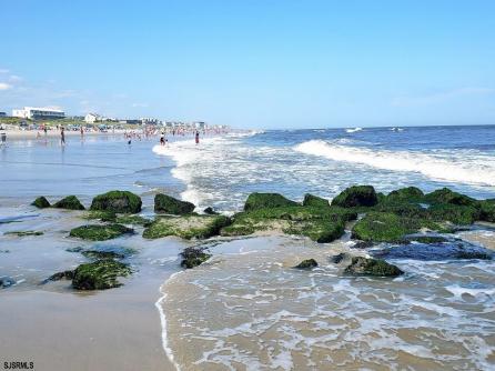 405 30th, Brigantine, NJ, 08203 Aditional Picture