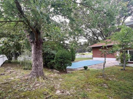 2 Sandy Ct, Linwood, NJ, 08221 Aditional Picture
