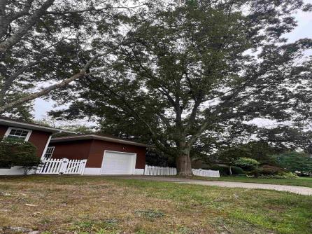2 Sandy Ct, Linwood, NJ, 08221 Aditional Picture