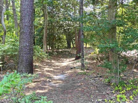 493 Sara Ann, Linwood, NJ, 08221 Aditional Picture