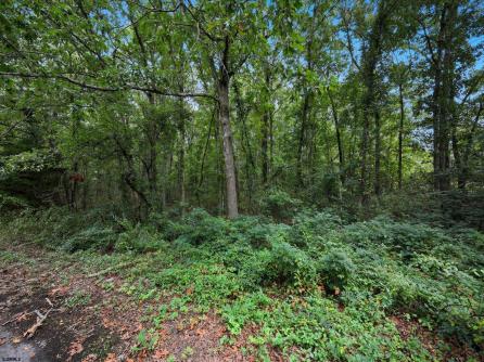 502 Holly, Galloway Township, NJ, 08205 Aditional Picture