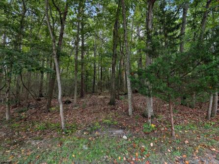 502 Holly, Galloway Township, NJ, 08205 Aditional Picture