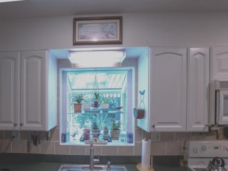 407 Jefferson, Linwood, NJ, 08221 Aditional Picture