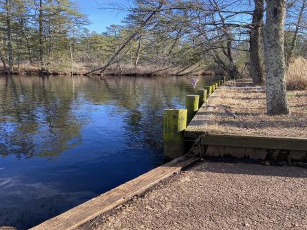 4528 Indian Cabin, Mullica Township, NJ, 08037 Aditional Picture
