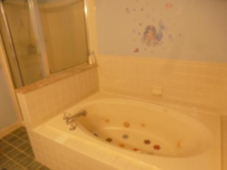 52 MOCKINGBIRD WAY, Galloway Township, NJ, 08205 Aditional Picture