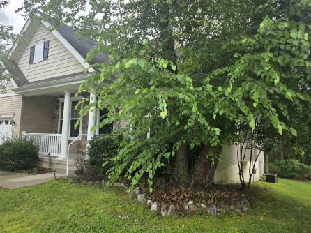 182 Giordano Mews, Mays Landing, NJ, 08330 Aditional Picture