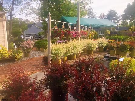 643 Zion Road, Egg Harbor Township, NJ, 08234 Aditional Picture