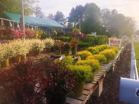 643 Zion Road, Egg Harbor Township, NJ, 08234 Aditional Picture