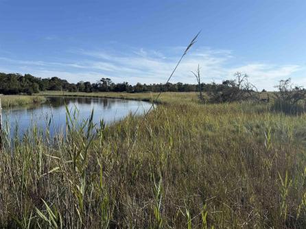 1455 Somers Point, Egg Harbor Township, NJ, 08234 Aditional Picture