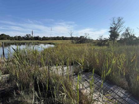 1455 Somers Point, Egg Harbor Township, NJ, 08234 Aditional Picture