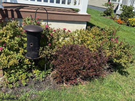 60 Pinetree, Weymouth Township, NJ, 08330 Aditional Picture