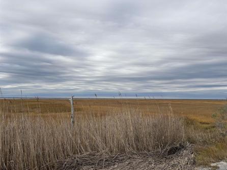 137 Jeffers Landing, Egg Harbor Township, NJ, 08234 Aditional Picture