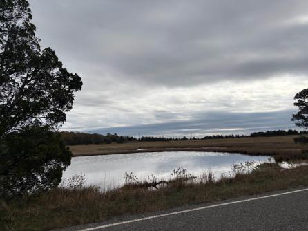 137 Jeffers Landing, Egg Harbor Township, NJ, 08234 Aditional Picture