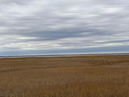 137 Jeffers Landing, Egg Harbor Township, NJ, 08234 Aditional Picture