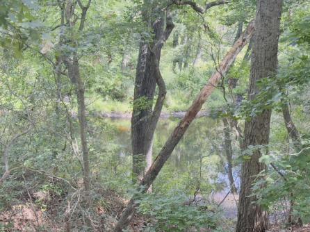 2015 High Bank, Mays Landing, NJ, 08330 Aditional Picture