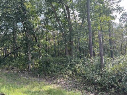 5827 Holly, Mays Landing, NJ, 08330 Aditional Picture
