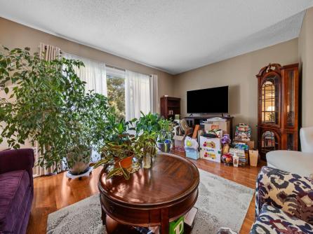 26 Cherokee, Galloway Township, NJ, 08205 Aditional Picture